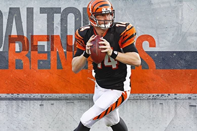 Andy Dalton Stripe Wallpapers