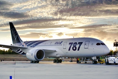 Beautiful Sky Of ANA Of Boeing 787 Dreamliner
