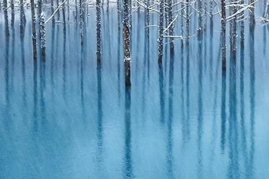 HTC Desire 816 Wallpapers On Pinterest