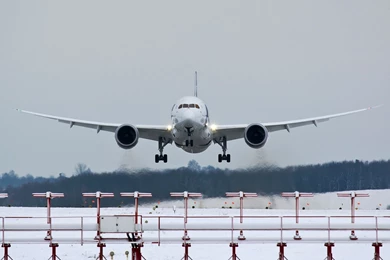 Boeing_787 8_dreamliner_approaching.jpg