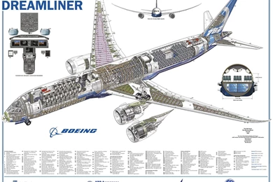 787 9 Boeing Airliner Jet Transport Airplane 787 Dreamliner ...
