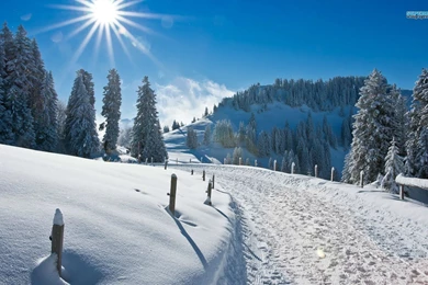 Winter Wallpapers 1b4   HD Wallpapers