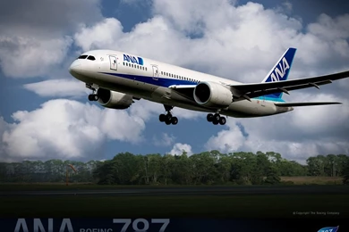 ANA All Nippon Airways Boeing Dreamliner Wallpapers 30387   Civil ...