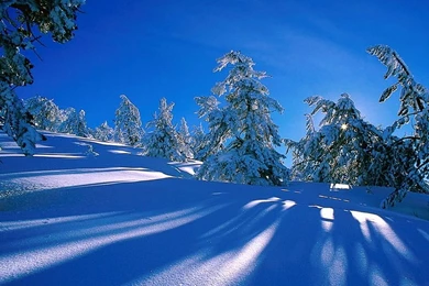 Winter Wallpapers 222   HD Wallpapers