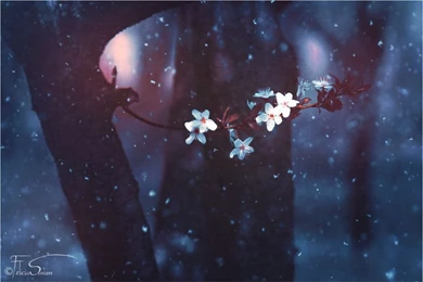 Winter Wallpapers 2fe   HD Wallpapers