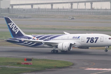 Boeing 787 Dreamliner   Alfie Computer Wallpapers, Desktop ...