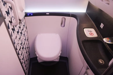 ZK NZE Boeing 787 9 Dreamliner Of Air New Zealand – FIRST VISIT TO ...