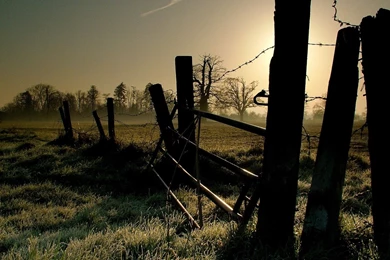 Barb Wire Wallpapers HD Backgrounds