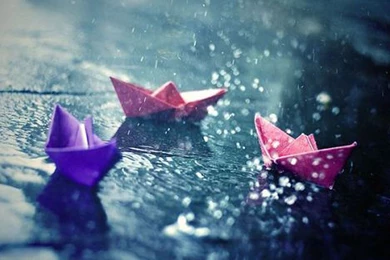 Rain Wallpapers Photography HD