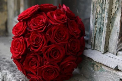 Red Roses Wedding Bouquet HD Desktop Wallpapers : High Definition ...