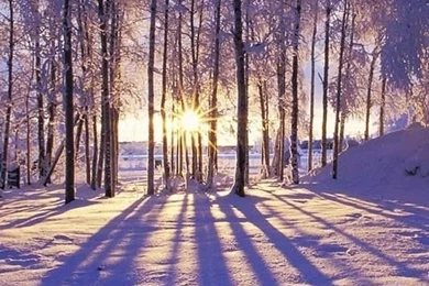 Phone Wallpapers On Pinterest