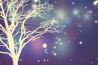 Download Winter Iphone Wallpapers Phone