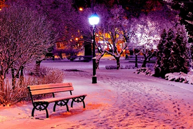 Amusement Parks Park Winter Bench Snow Light Phone Wallpapers ...