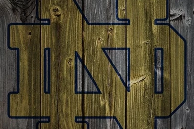 Iphone4 Notre Dame Fighting Irish.jpg