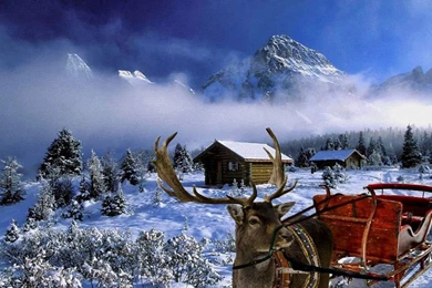 Free Wallpapers Winter Scenes   Wallpapers Cave