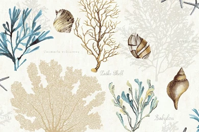 Коллекция Charleston Home, бренд Jaima Brown   Artique