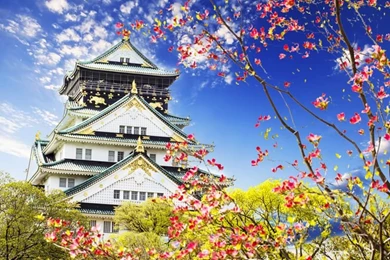 Online Shop Free Shipping The Ancient Chinese Architecture In ...