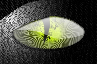 Wallpapers   Anaconda By Crow.exe   Customize.org