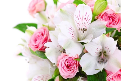 A Bouquet Flowers, Pink Roses, White Orchids Wallpapers