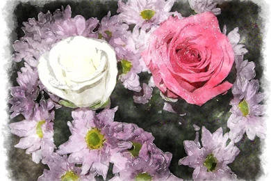 Watercolor Roses, Watercolor Painting Of Beautiful Rose   A ...