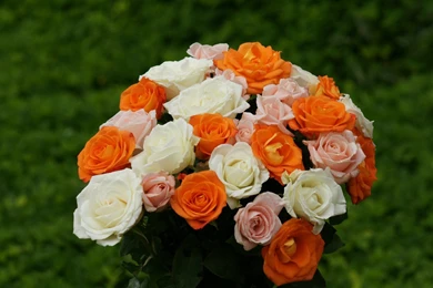 Rose Wallpapers   Beautiful Roses Bouquets