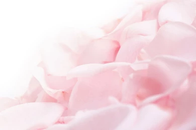 City Black And White 3172 Hd Wallpapers Pictures