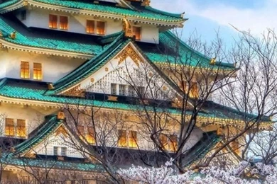 640x1136 Osaka Castle Japan Iphone 5 Wallpapers