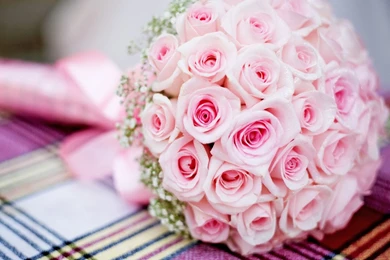 Pink, Bouquet, Roses, Wallpapers   MixHD Wallpapers