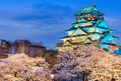 The Most Densely Populated Cities Around The World