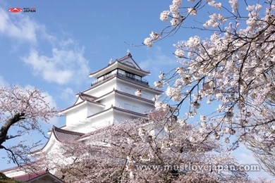 Tsuruga Castle: Wallpapers