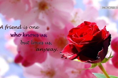 Roses Desktop Backgrounds   Wallpapers Cave