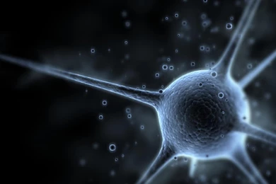 Science Wallpapers Desktop Wallpapers Cave