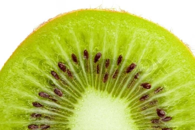 Green Ripe Kiwi Macro Sliced Cuts On Light Backgrounds