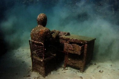 Man Underwaters People Oceans Fossil Wallpapers   (