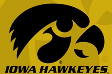 Iowa_Hawkeyes_Tigerhawk_Black_on_Gold_42_739.jpg