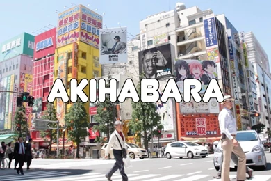 Akihabara & Tokyo Transit (Japan 2015) YouTube
