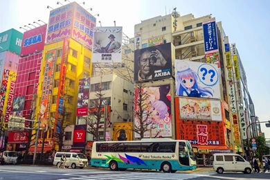 Akihabara Shops 17