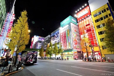 Culture Japan   Your Portal To Japan   Posts