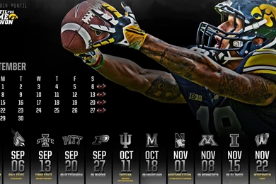 IOWA HAWKEYES College Football Wallpapers