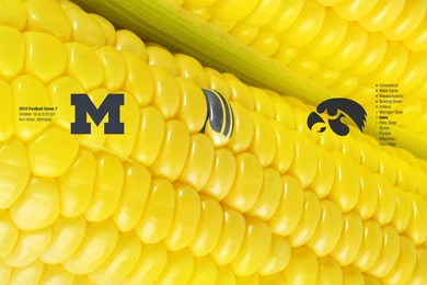 Maize Is Blue – 2010 Game 7 – Michigan Football Fan Art