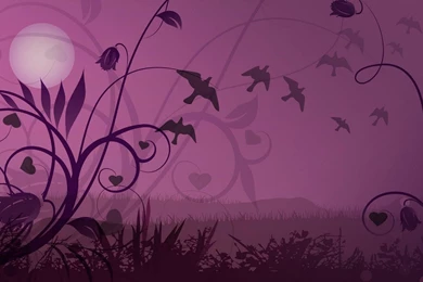 Free Hd Wallpapers Desktop Backgrounds Hp