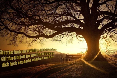 4chan Inspirational Wallpaper Images