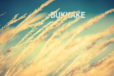 4chan Wallpapers Funny Images