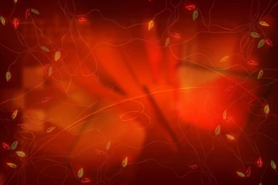 Beautiful Backgrounds   1340268