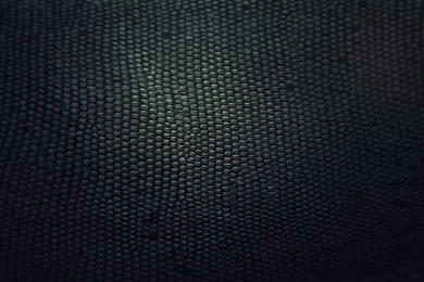 Snake Skin Wallpapers Abstract Wallpapers