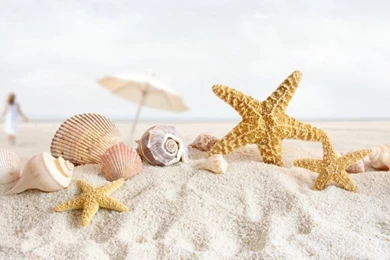 Beautiful Summer Scenery 1024x576.jpg