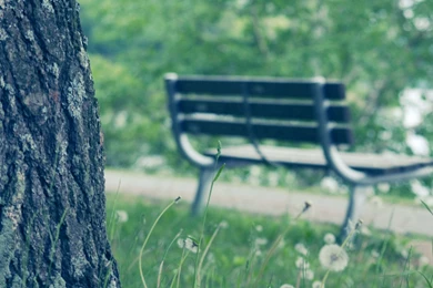 Chang, Images, Summer, Scenery, Wallpapers (