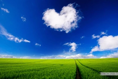 Countries Scenery Wallpapers France, Egypt, Alaska Islands