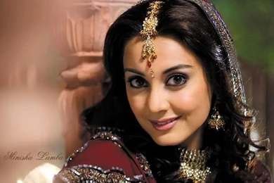 Image Detail For  Hindi Movie Actress Minissha Lamba Beautiful ...