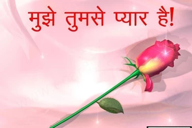 Download Rose   Love Wallpapers